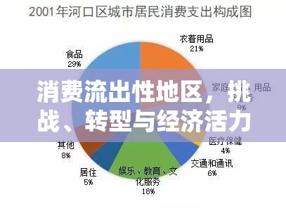 消費流出性地區(qū)，挑戰(zhàn)、轉(zhuǎn)型與經(jīng)濟活力重塑