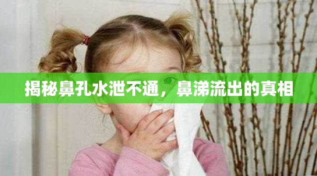 揭秘鼻孔水泄不通，鼻涕流出的真相