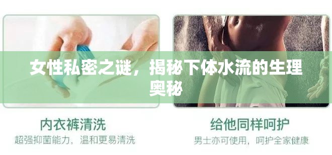女性私密之謎，揭秘下體水流的生理奧秘
