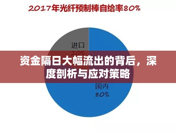 資金隔日大幅流出的背后，深度剖析與應(yīng)對策略