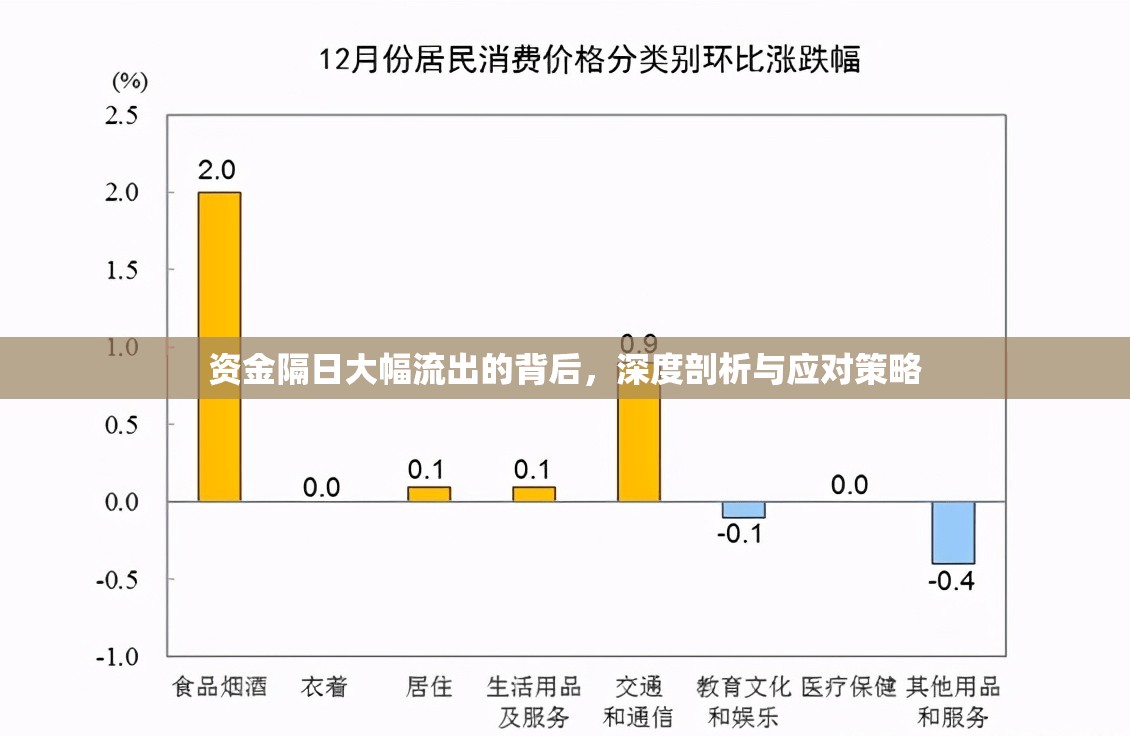資金隔日大幅流出的背后，深度剖析與應(yīng)對策略