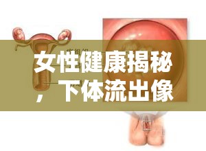女性健康揭秘，下體流出像膠一樣物質(zhì)的原因與應對策略