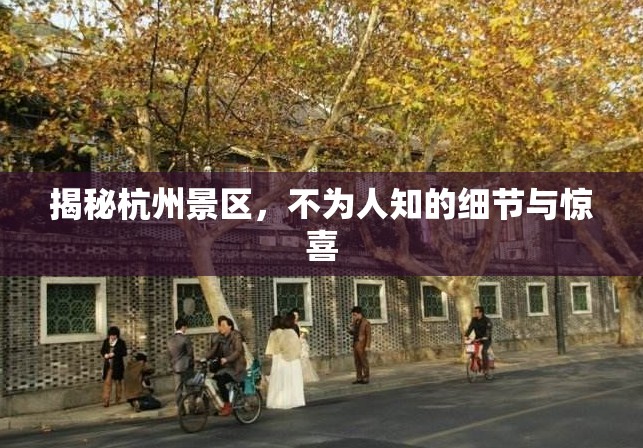 揭秘杭州景區(qū)，不為人知的細節(jié)與驚喜