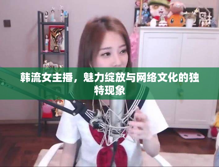 韓流女主播，魅力綻放與網(wǎng)絡文化的獨特現(xiàn)象