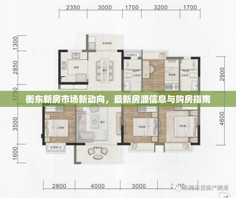 衡東新房市場(chǎng)新動(dòng)向，最新房源信息與購(gòu)房指南