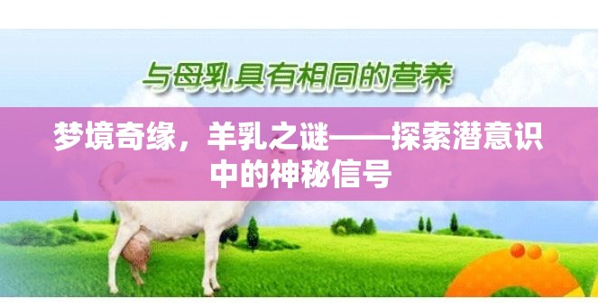 夢境奇緣，羊乳之謎——探索潛意識中的神秘信號