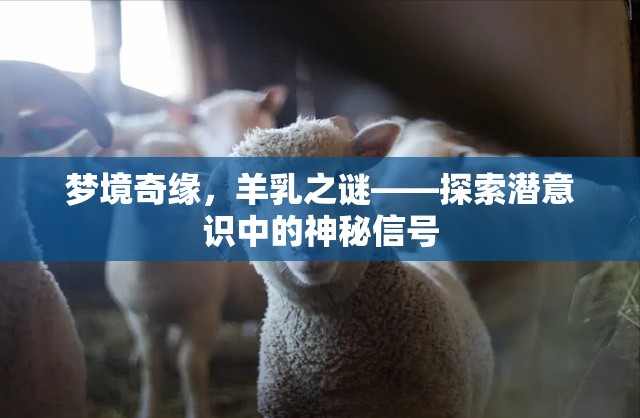 夢境奇緣，羊乳之謎——探索潛意識中的神秘信號