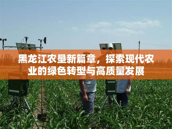 黑龍江農(nóng)墾新篇章，探索現(xiàn)代農(nóng)業(yè)的綠色轉(zhuǎn)型與高質(zhì)量發(fā)展