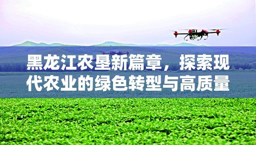 黑龍江農(nóng)墾新篇章，探索現(xiàn)代農(nóng)業(yè)的綠色轉(zhuǎn)型與高質(zhì)量發(fā)展