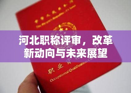 河北職稱評(píng)審，改革新動(dòng)向與未來展望