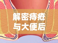 解密痔瘡與大便后粘液流出的關(guān)系，從癥狀識別到預(yù)防策略的全面指南