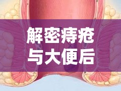 解密痔瘡與大便后粘液流出的關(guān)系，從癥狀識別到預(yù)防策略的全面指南