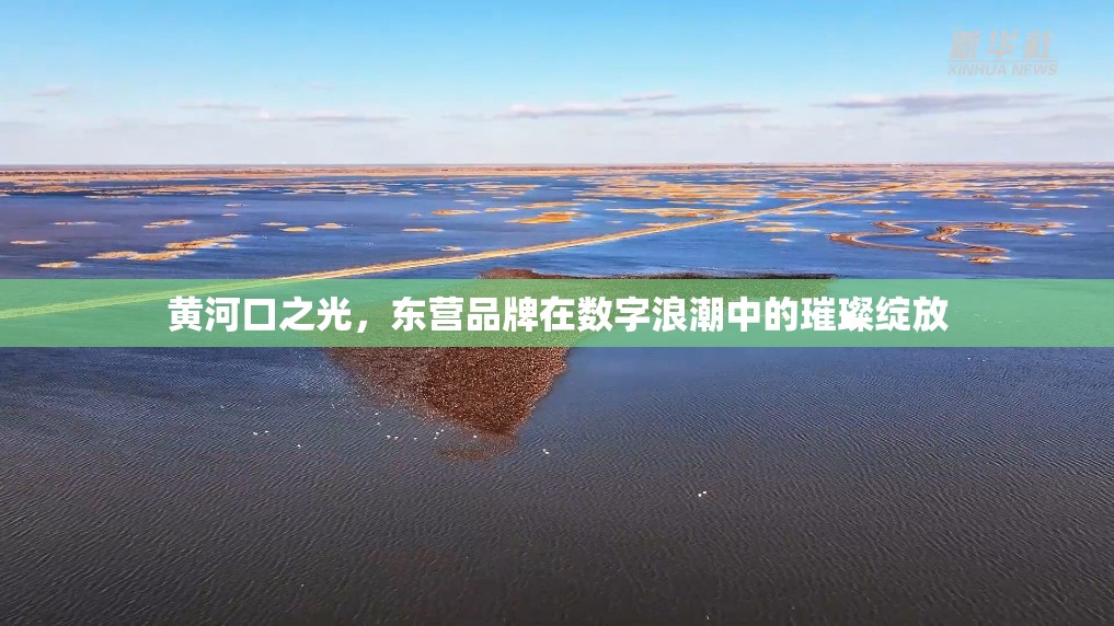 黃河口之光，東營品牌在數(shù)字浪潮中的璀璨綻放