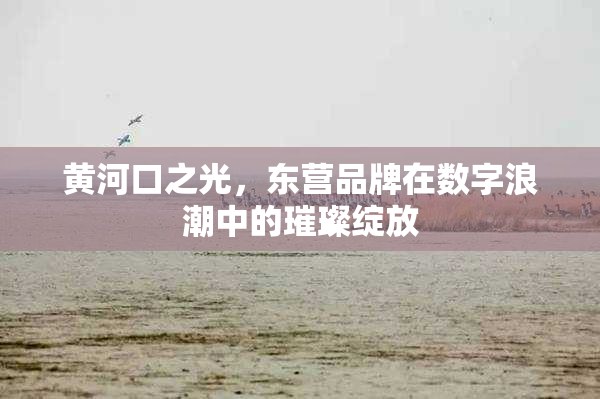 黃河口之光，東營品牌在數(shù)字浪潮中的璀璨綻放