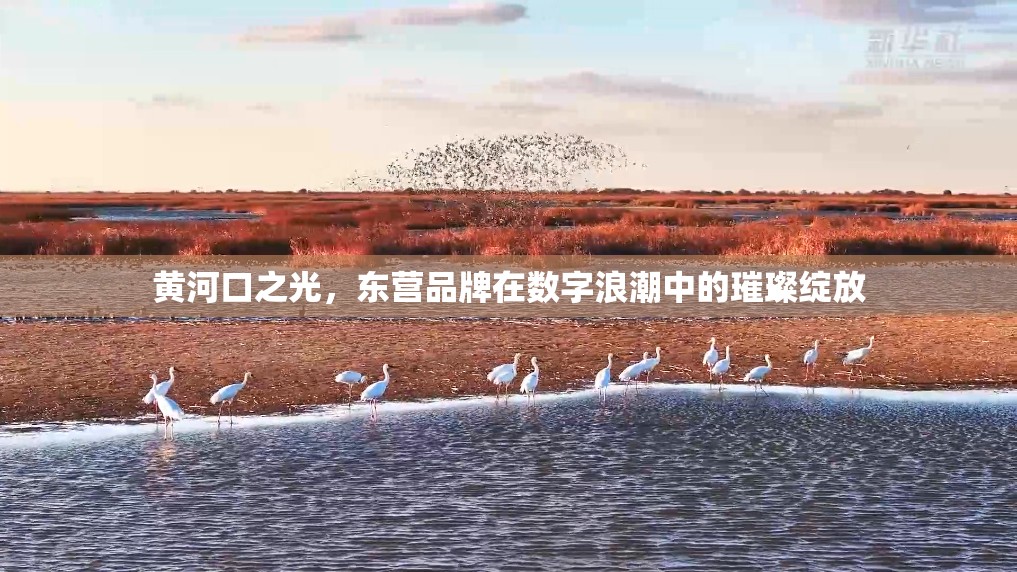 黃河口之光，東營品牌在數(shù)字浪潮中的璀璨綻放