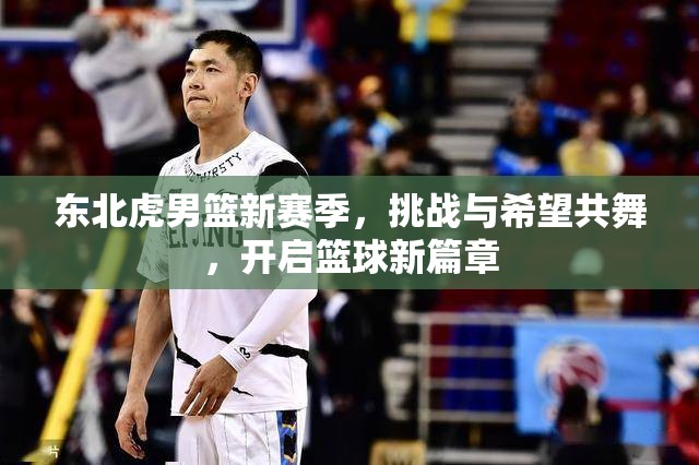 東北虎男籃新賽季，挑戰(zhàn)與希望共舞，開啟籃球新篇章