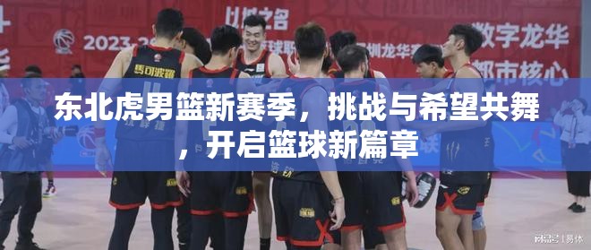 東北虎男籃新賽季，挑戰(zhàn)與希望共舞，開啟籃球新篇章