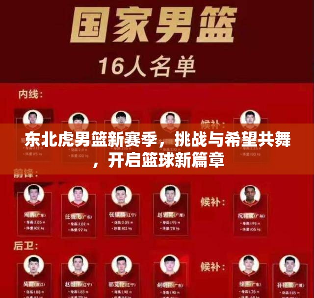 東北虎男籃新賽季，挑戰(zhàn)與希望共舞，開啟籃球新篇章