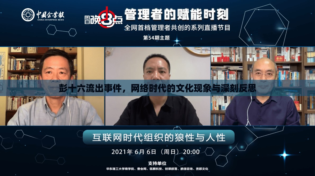 彭十六流出事件，網(wǎng)絡時代的文化現(xiàn)象與深刻反思