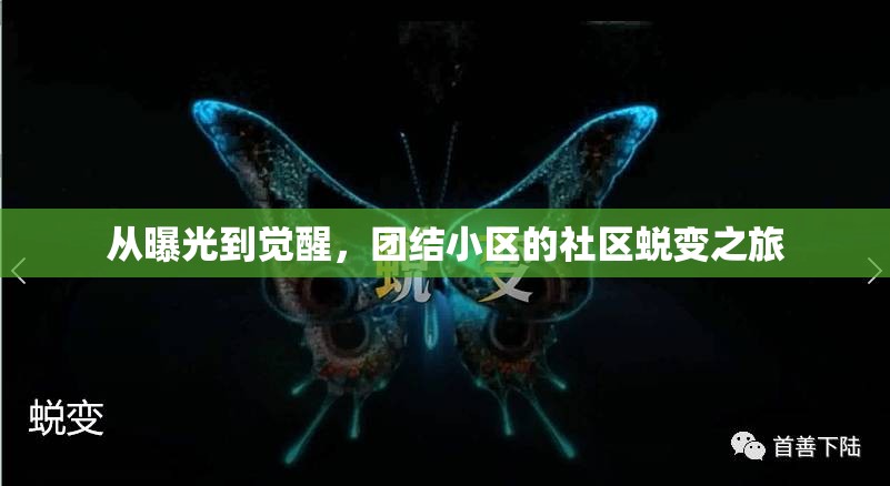 從曝光到覺醒，團(tuán)結(jié)小區(qū)的社區(qū)蛻變之旅