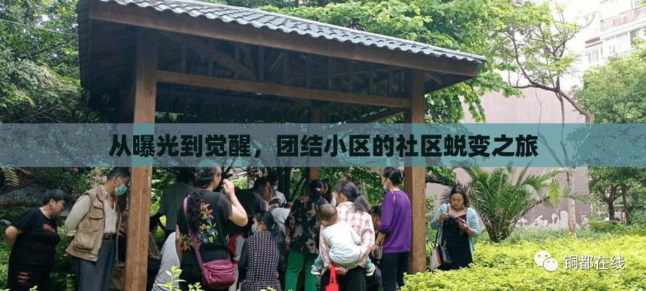 從曝光到覺醒，團(tuán)結(jié)小區(qū)的社區(qū)蛻變之旅