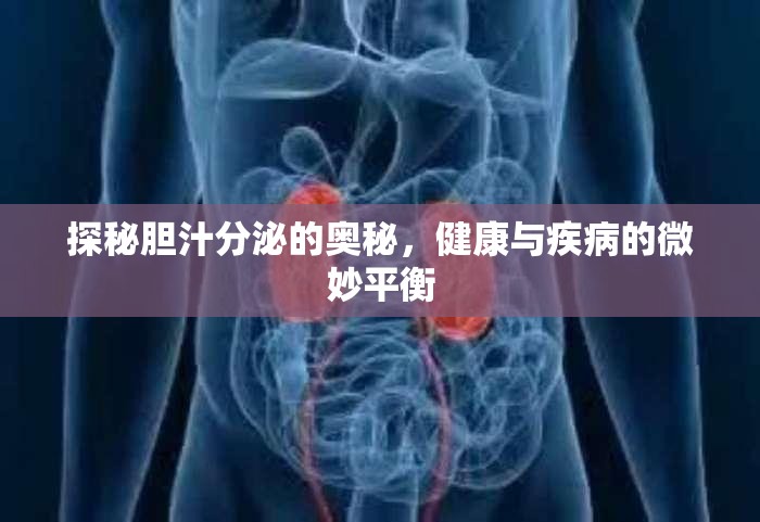 探秘膽汁分泌的奧秘，健康與疾病的微妙平衡