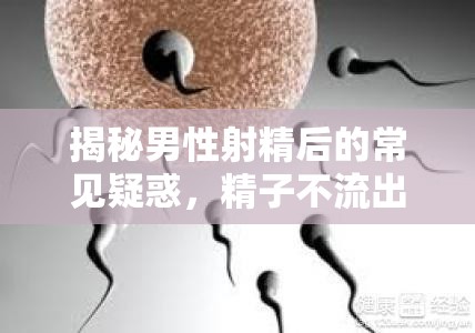 揭秘男性射精后的常見疑惑，精子不流出來正常嗎？
