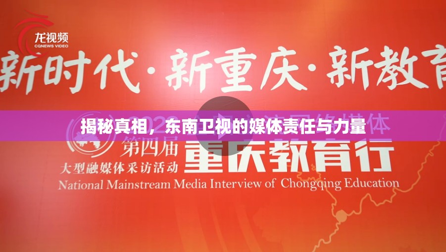 揭秘真相，東南衛(wèi)視的媒體責(zé)任與力量