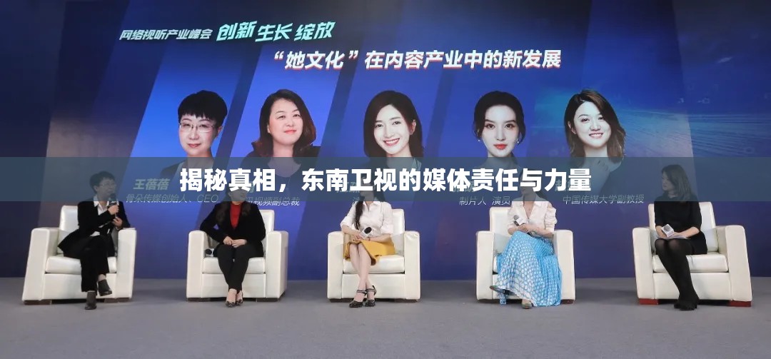揭秘真相，東南衛(wèi)視的媒體責(zé)任與力量