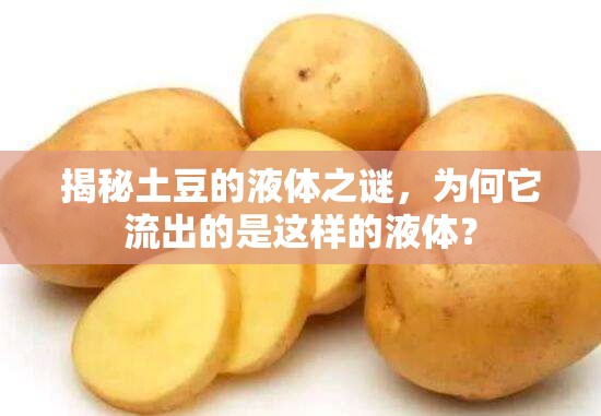 揭秘土豆的液體之謎，為何它流出的是這樣的液體？