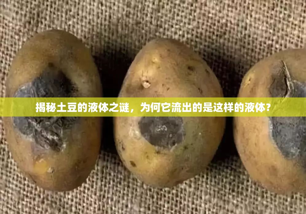 揭秘土豆的液體之謎，為何它流出的是這樣的液體？