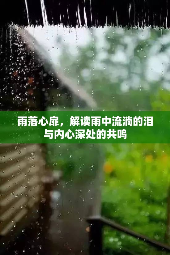 雨落心扉，解讀雨中流淌的淚與內心深處的共鳴