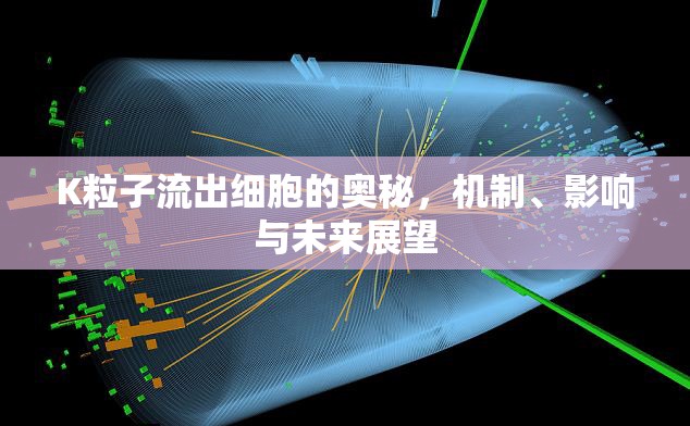 K粒子流出細(xì)胞的奧秘，機(jī)制、影響與未來(lái)展望