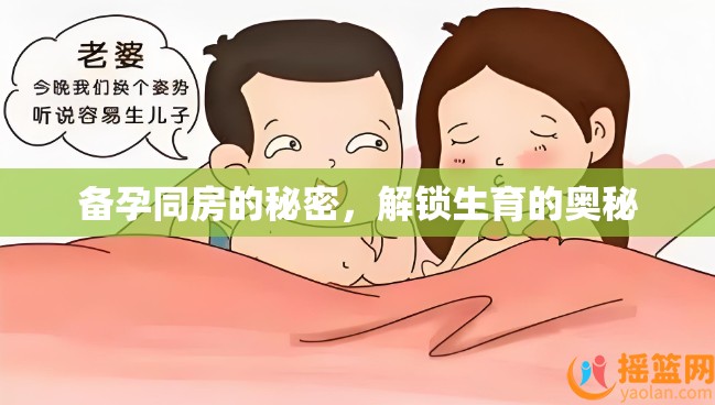 備孕同房的秘密，解鎖生育的奧秘