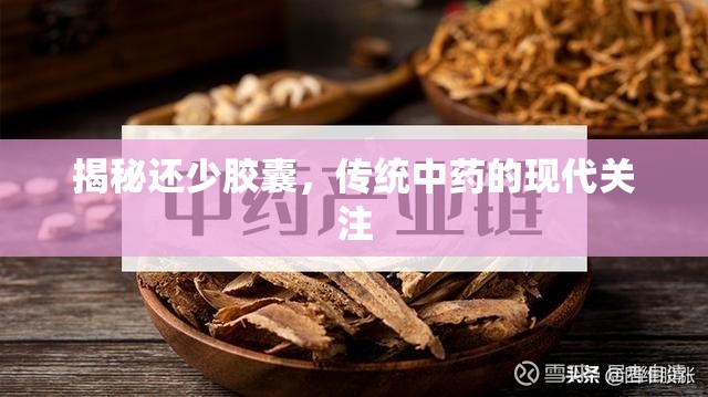 揭秘還少膠囊，傳統(tǒng)中藥的現(xiàn)代關(guān)注