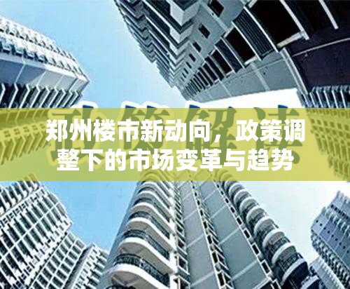 鄭州樓市新動(dòng)向，政策調(diào)整下的市場(chǎng)變革與趨勢(shì)