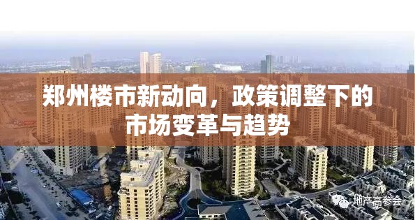 鄭州樓市新動(dòng)向，政策調(diào)整下的市場(chǎng)變革與趨勢(shì)