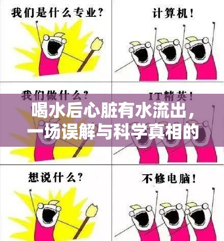 喝水后心臟有水流出，一場誤解與科學(xué)真相的對(duì)話