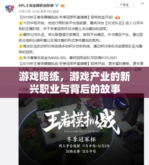 游戲陪練，游戲產(chǎn)業(yè)的新興職業(yè)與背后的故事
