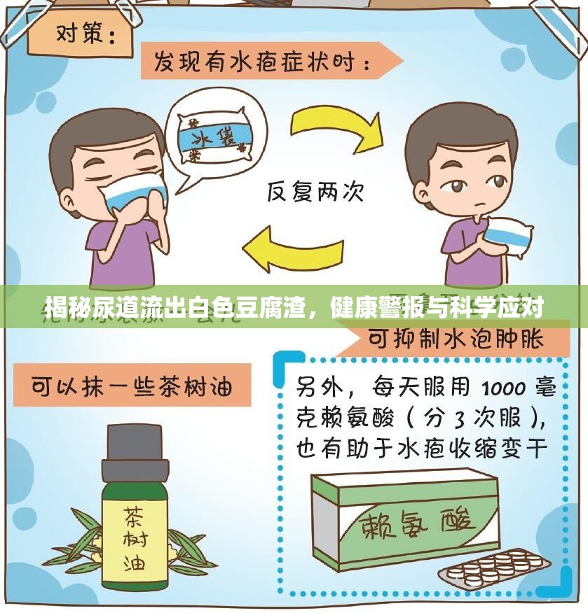 揭秘尿道流出白色豆腐渣，健康警報與科學(xué)應(yīng)對
