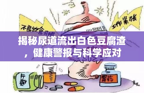 揭秘尿道流出白色豆腐渣，健康警報與科學(xué)應(yīng)對