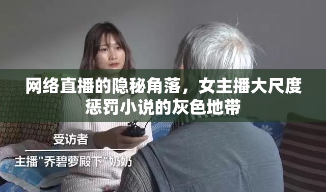 網(wǎng)絡(luò)直播的隱秘角落，女主播大尺度懲罰小說(shuō)的灰色地帶