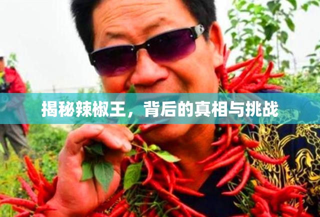 揭秘辣椒王，背后的真相與挑戰(zhàn)