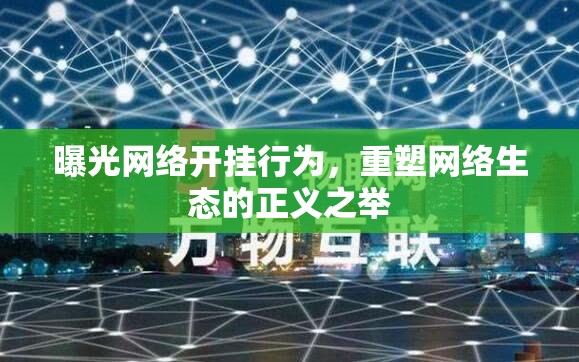 曝光網(wǎng)絡(luò)開掛行為，重塑網(wǎng)絡(luò)生態(tài)的正義之舉