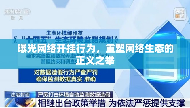 曝光網(wǎng)絡(luò)開掛行為，重塑網(wǎng)絡(luò)生態(tài)的正義之舉