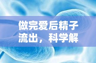 做完愛后精子流出，科學(xué)解析與健康指導(dǎo)