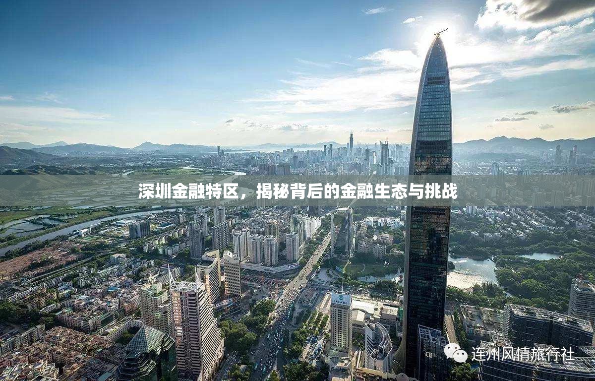 深圳金融特區(qū)，揭秘背后的金融生態(tài)與挑戰(zhàn)