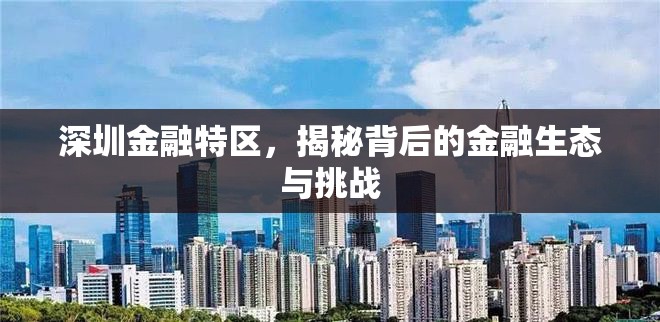 深圳金融特區(qū)，揭秘背后的金融生態(tài)與挑戰(zhàn)
