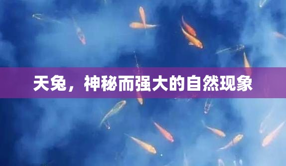 天兔，神秘而強(qiáng)大的自然現(xiàn)象
