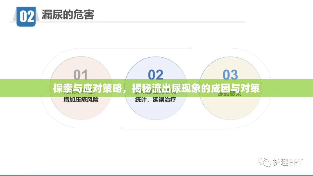 探索與應(yīng)對策略，揭秘流出尿現(xiàn)象的成因與對策